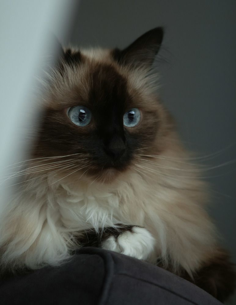 Photograph by Петр Максимов