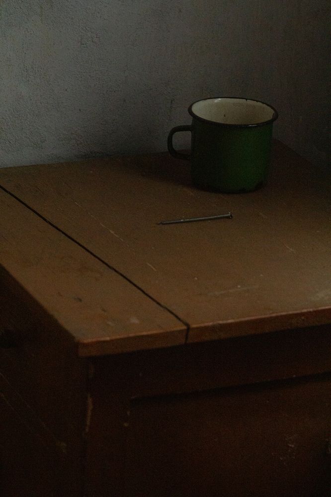 Photograph by Elena Mingazova