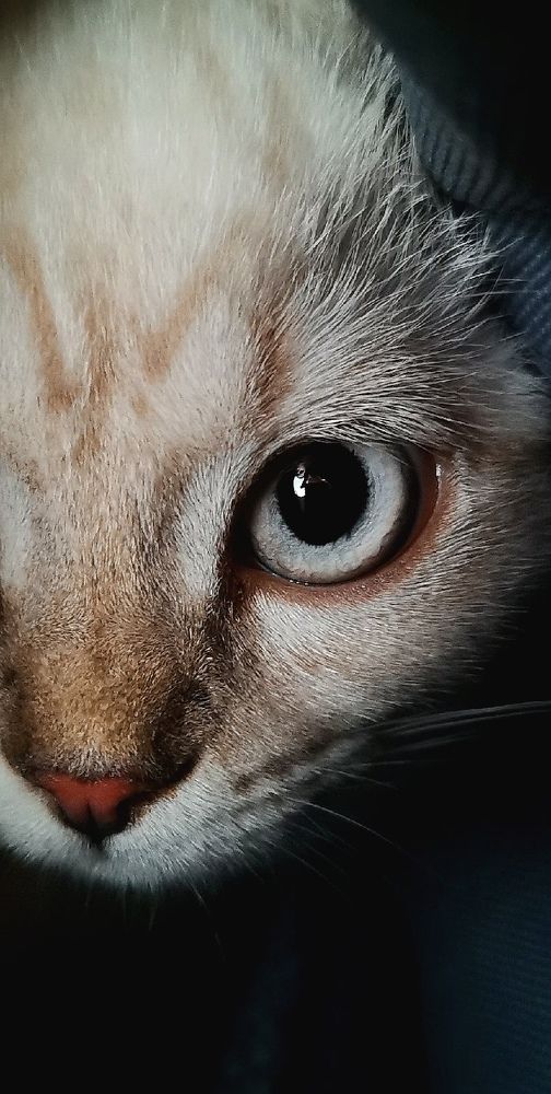 Photograph by Воротова Анастасия