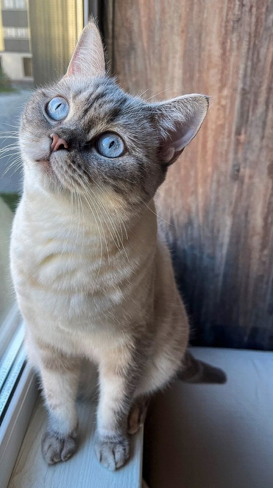 Photograph by Воротова Анастасия