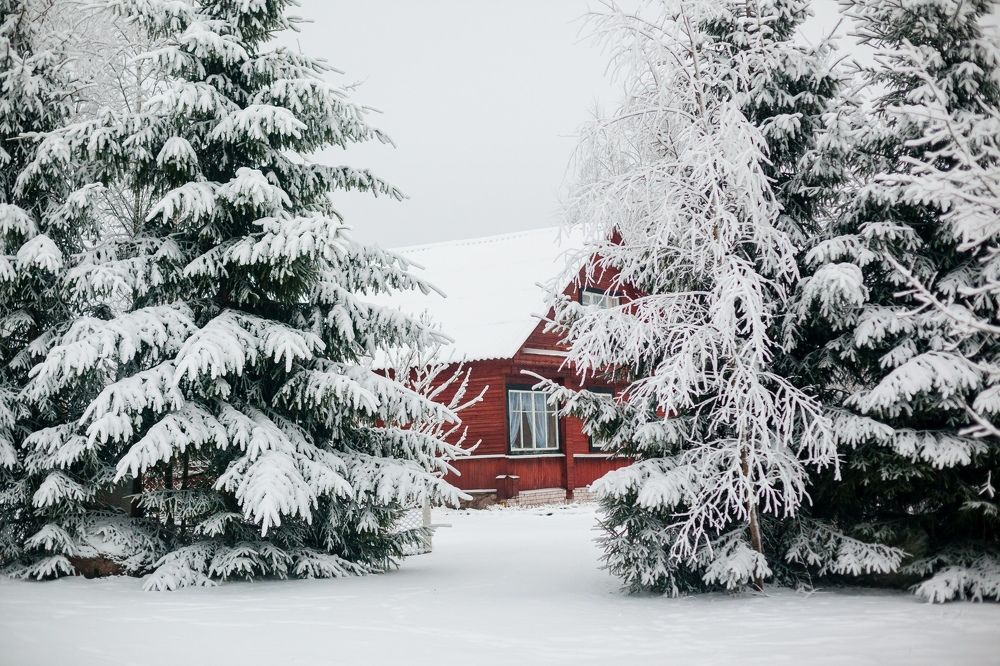 Photograph by Воротова Анастасия