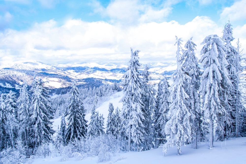 Photograph by Диана Бородзе