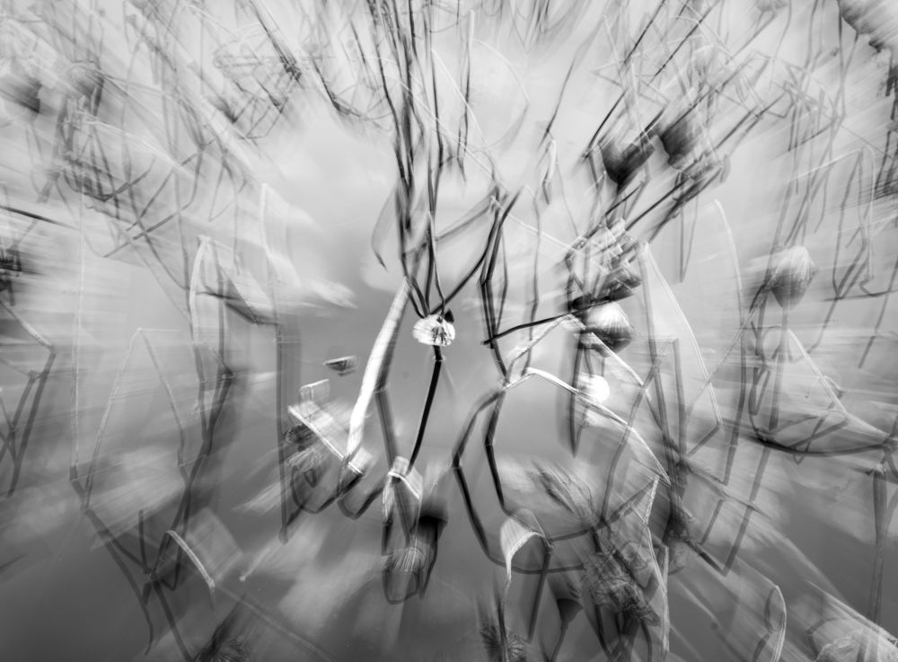 Photograph by Elena Lopatina