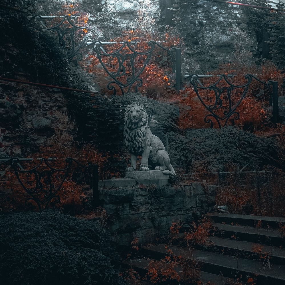 Photograph by Bohdan Nahirnyj