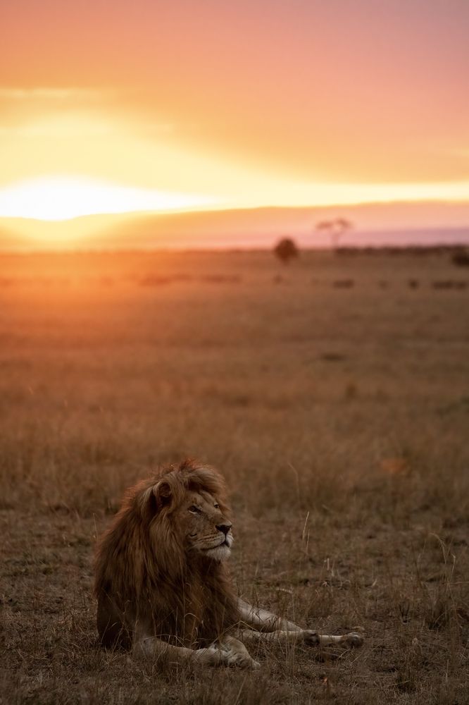 Photograph by Merche Llobera