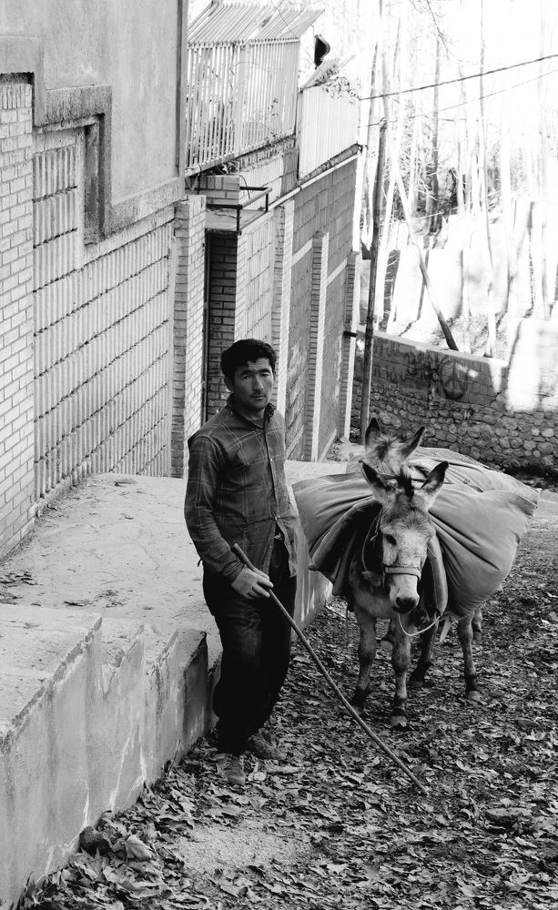 Photograph by Ghazal Ardeshirzadeh