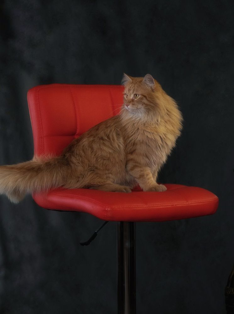 Photograph by Тамара Аржанова