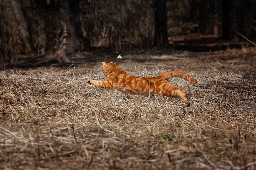 Photograph by Ольга Оверко