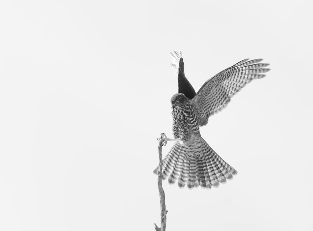 Photograph by Dennis Vagner