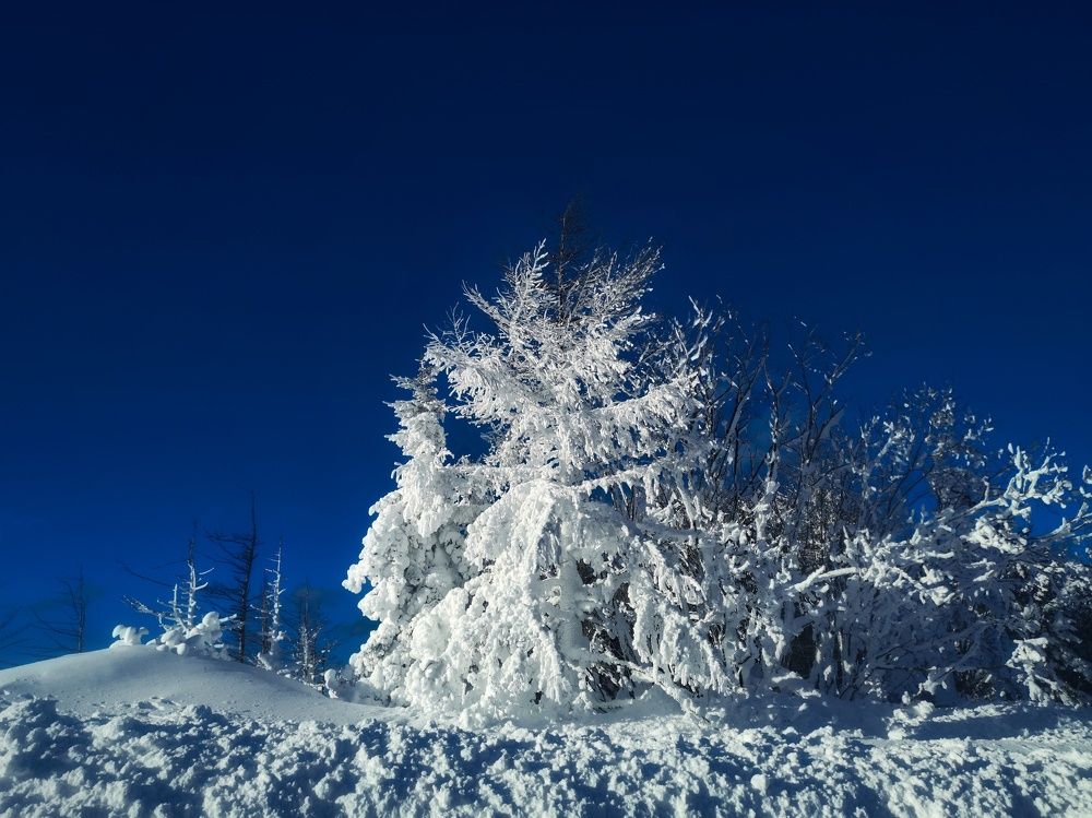 Photograph by Вероника Романенко