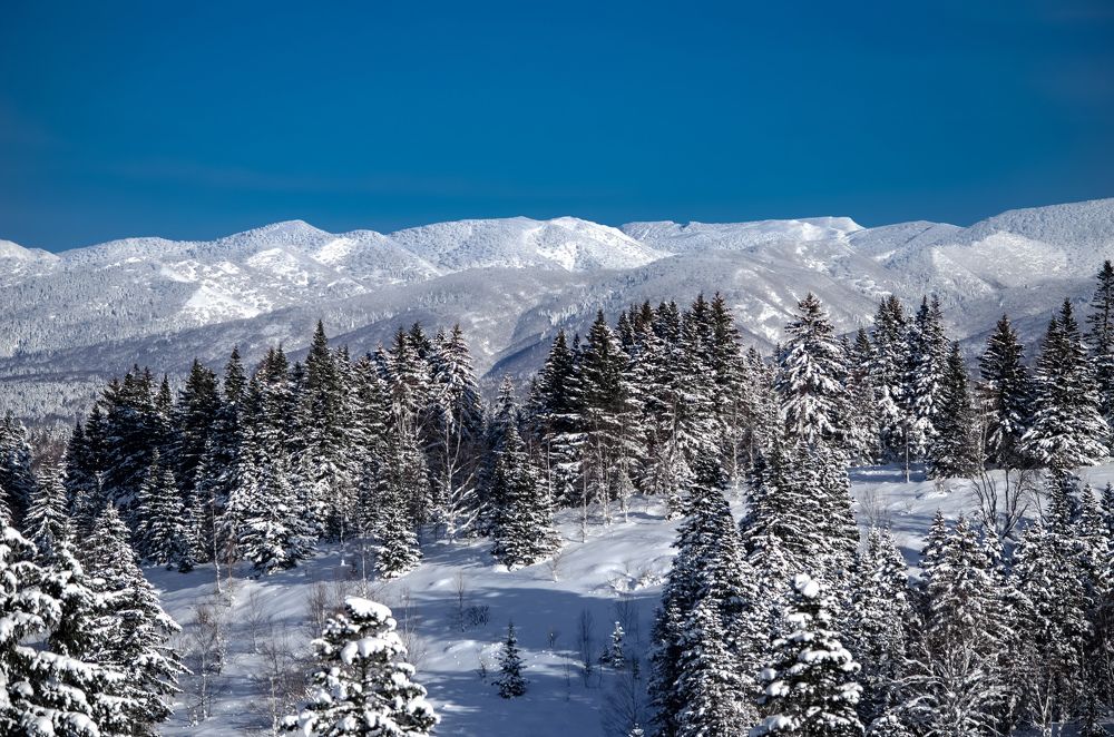 Photograph by Вероника Романенко