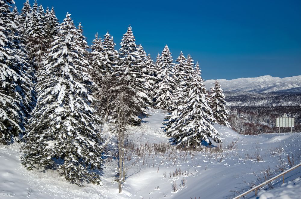 Photograph by Вероника Романенко