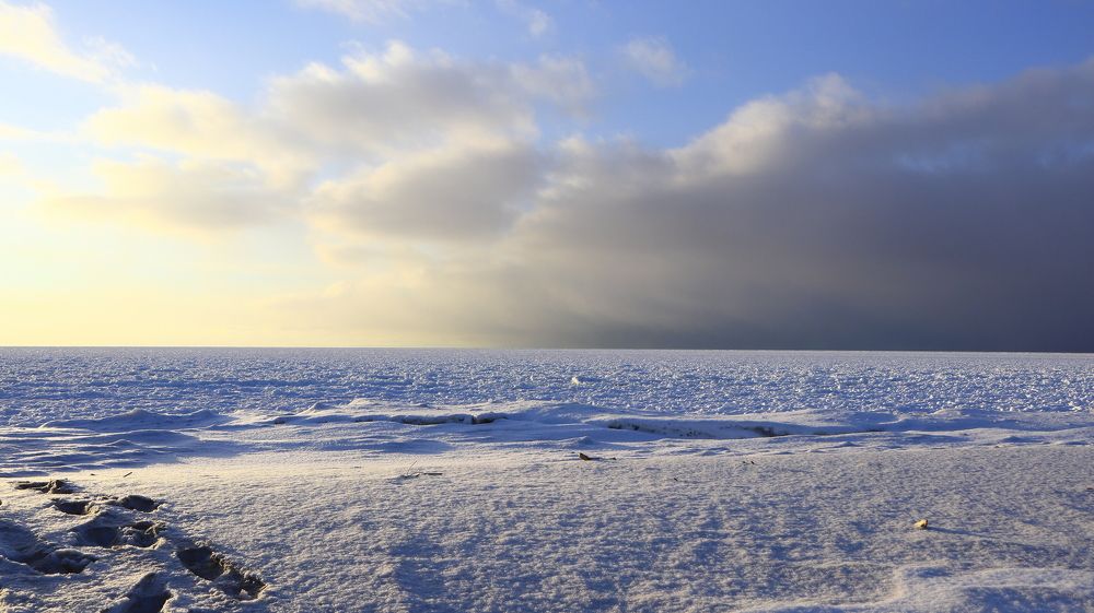 Белое безмолвие