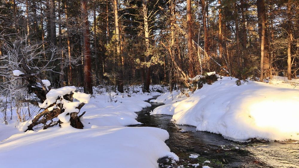 Сквозь сугробы