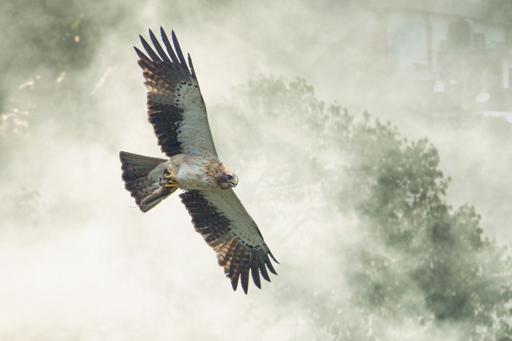 Photograph by Yazir Zubair