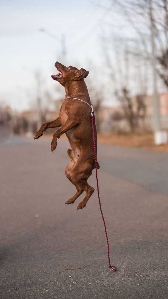 Отрываясь от земли