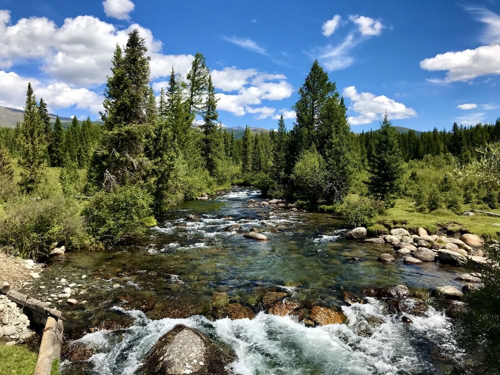 Photograph by Сергей