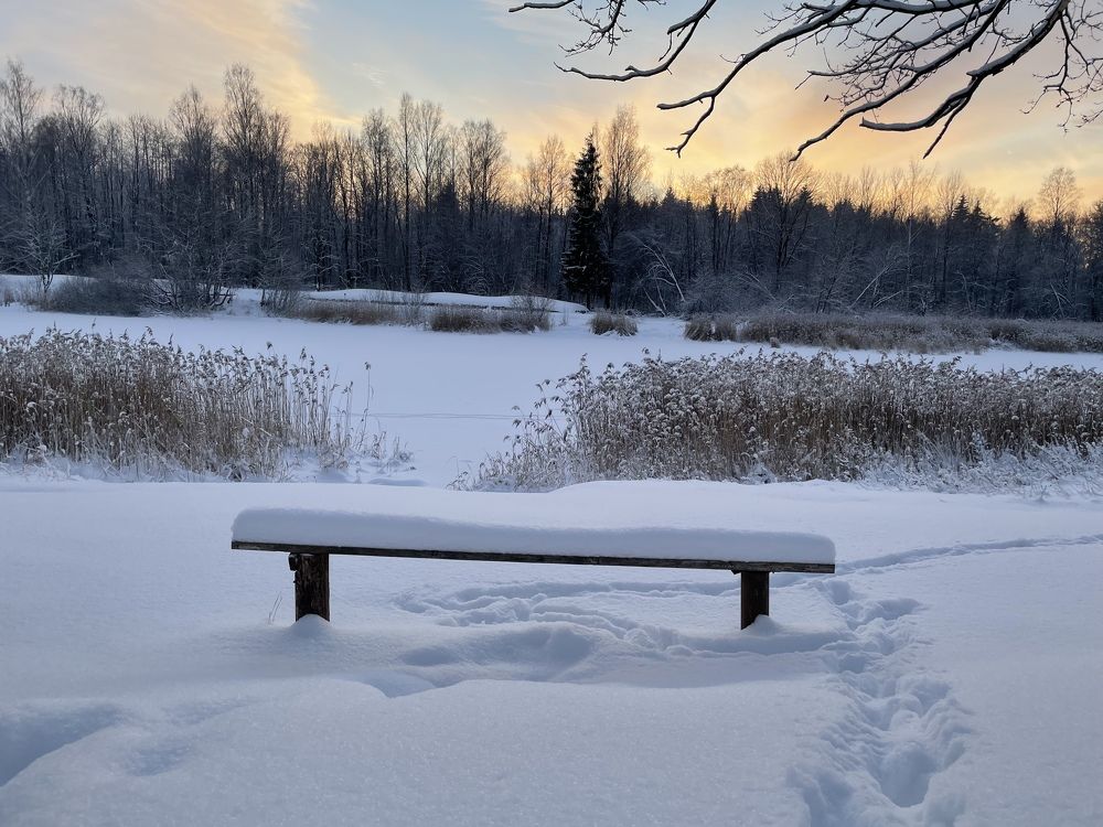 Photograph by Александра Кулеш