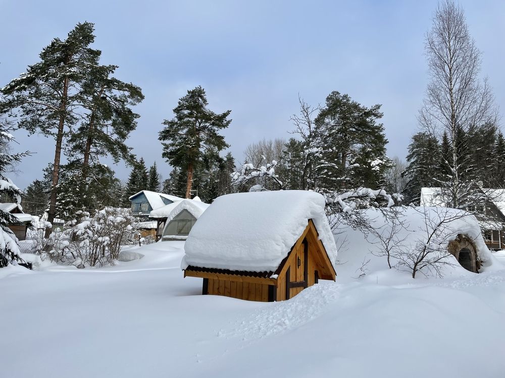 Photograph by Александра Кулеш