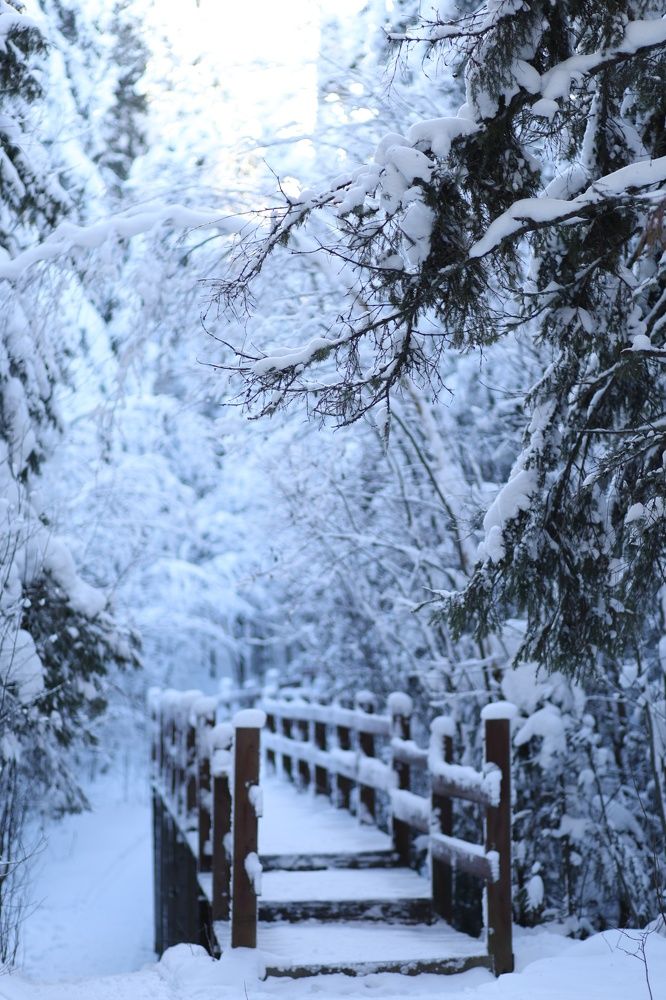 Photograph by Бальзирова Наталья