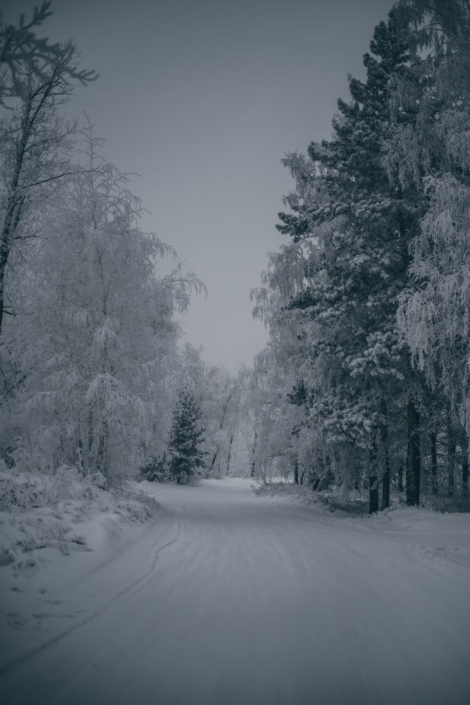 Photograph by Игорь Черемных