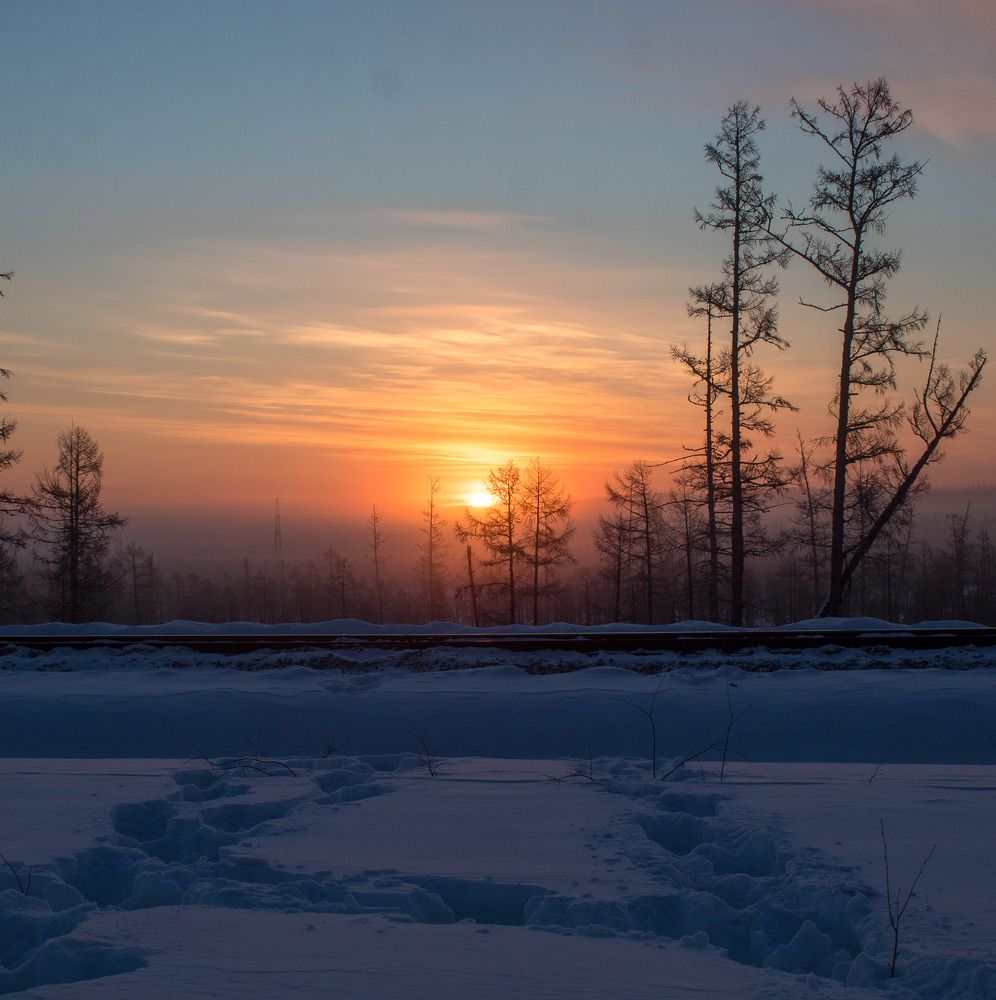 Photograph by 