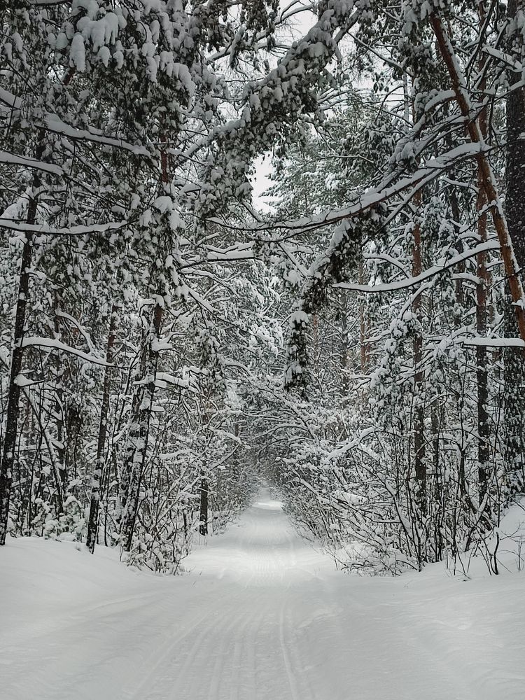 Photograph by Елена Бохолдина