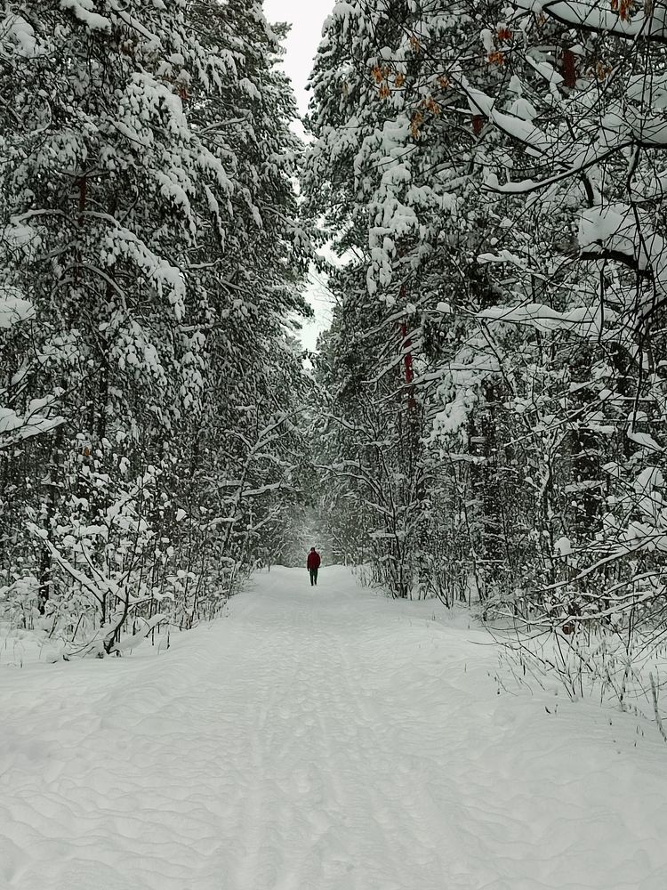 Photograph by Елена Бохолдина