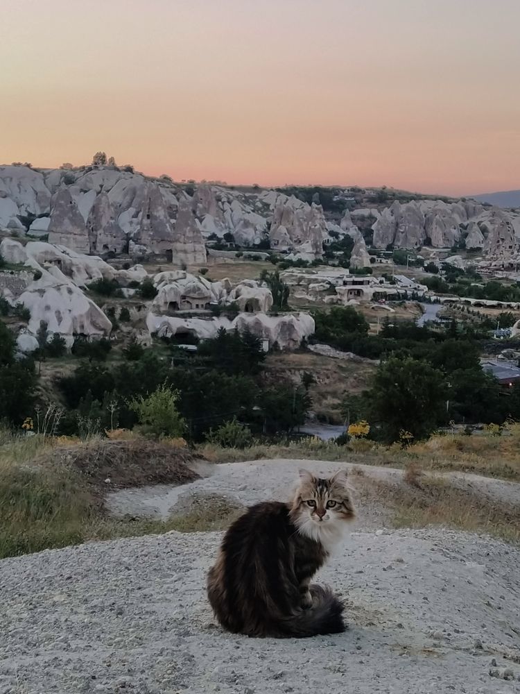 Photograph by Елена Бохолдина