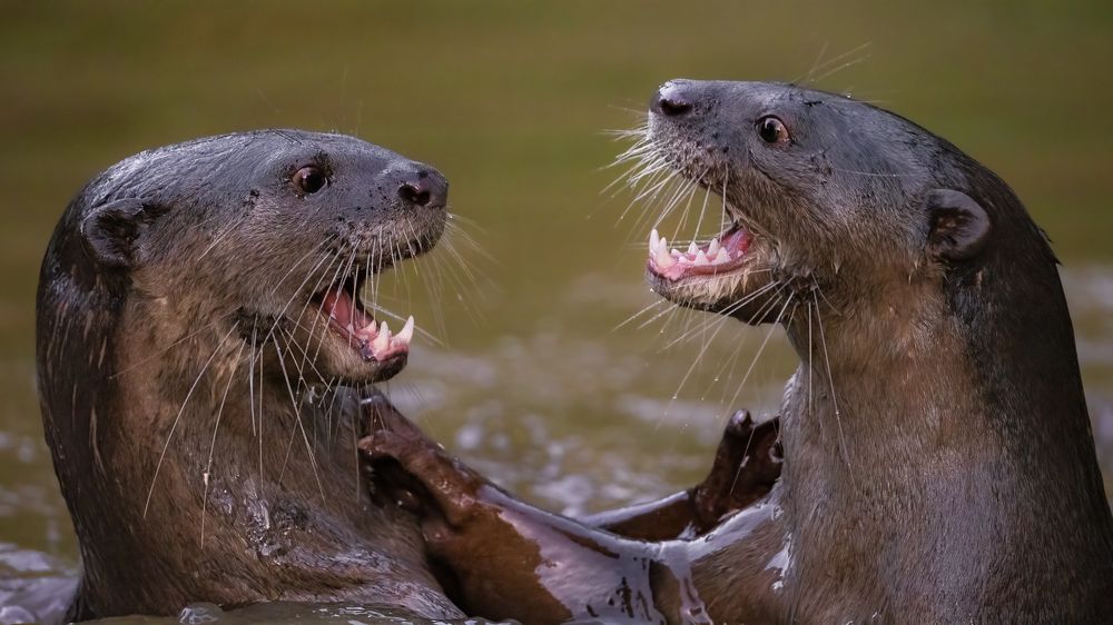 Photograph by Lucas Oh