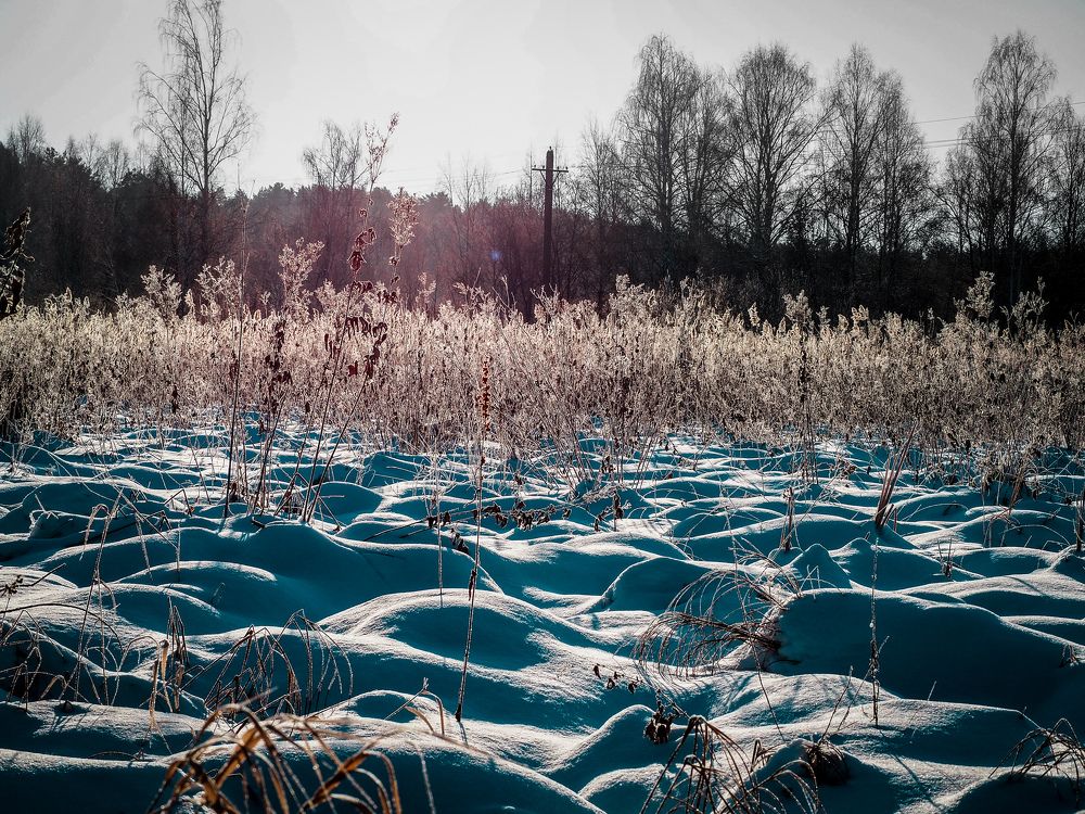 Photograph by Евгений Фазлеев