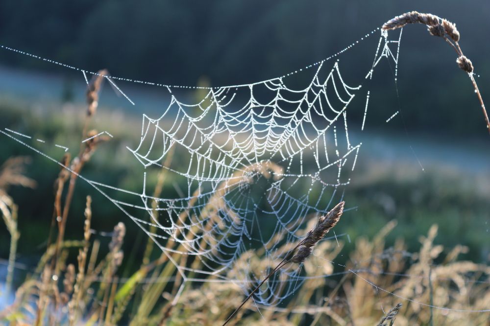Photograph by Владимир Бабич