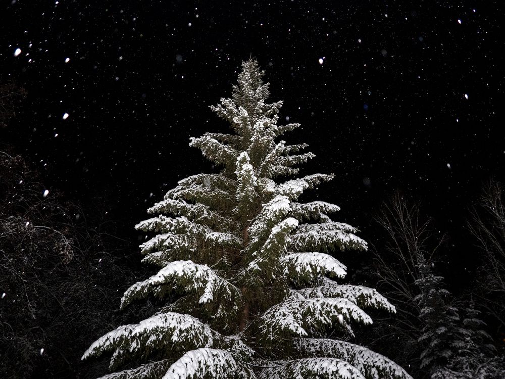 Photograph by Евгений Фазлеев