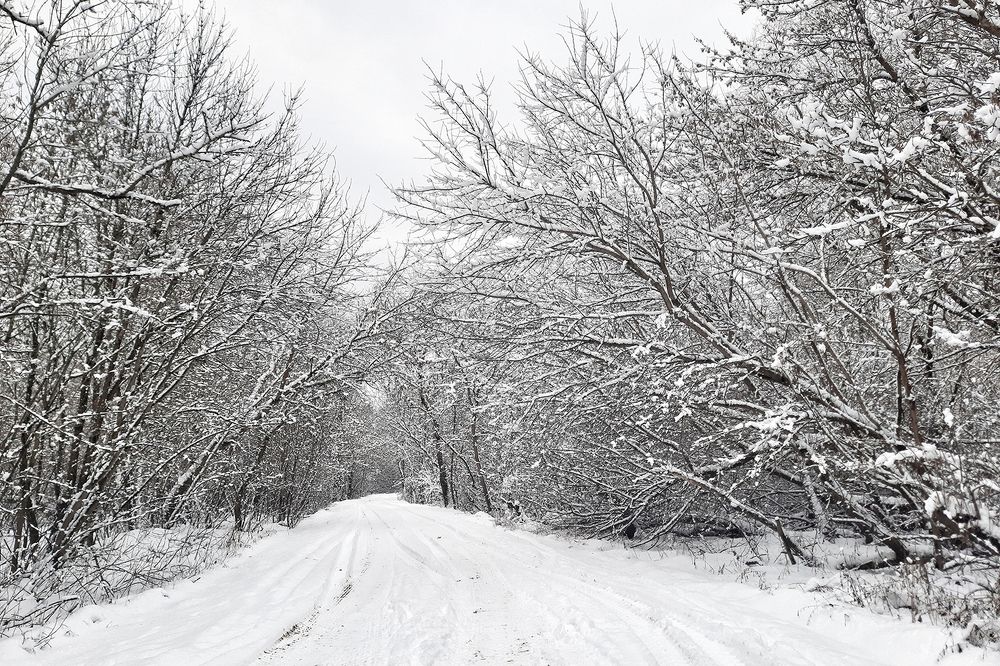 Photograph by Михаил Рассказ