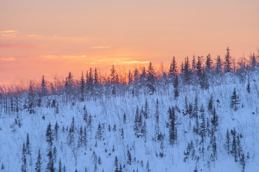 Photograph by Валентин