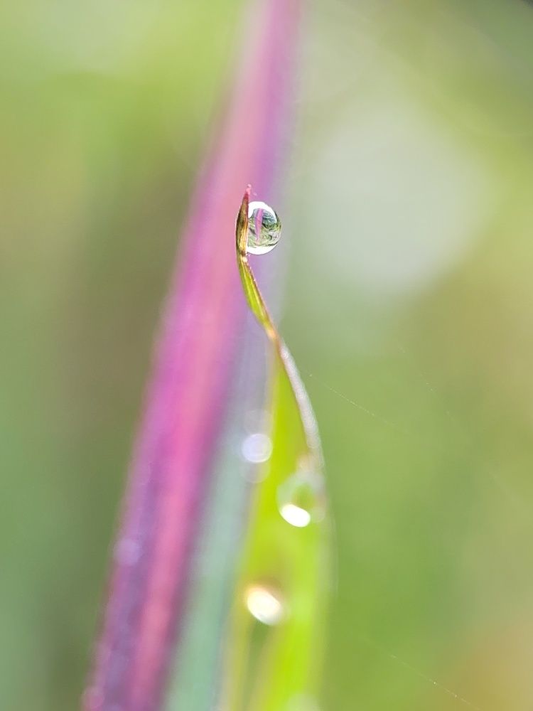 Photograph by Halim Samad