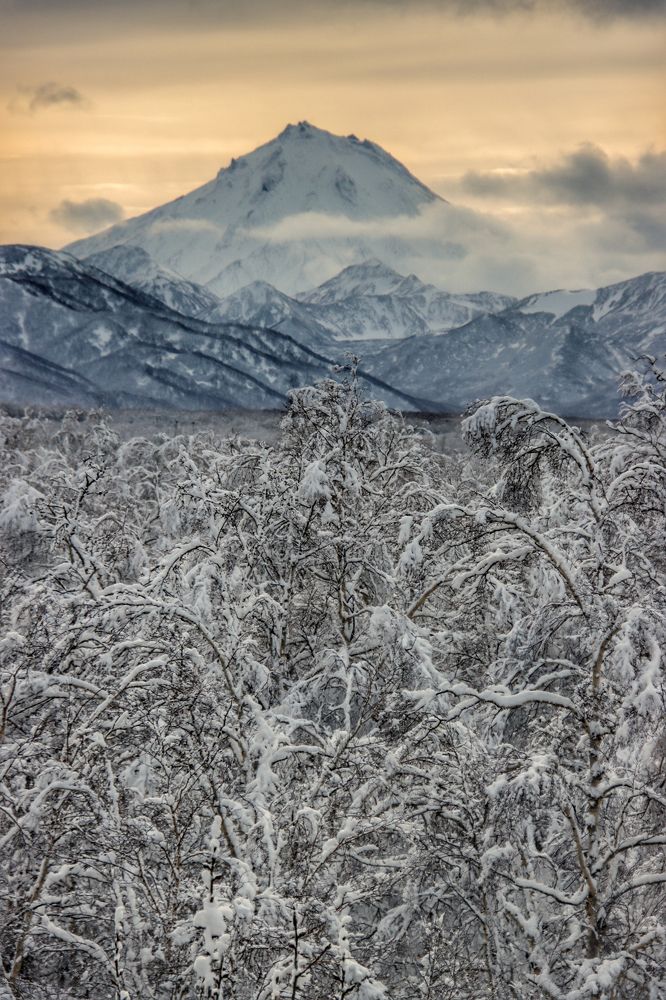 Photograph by Александр Суров