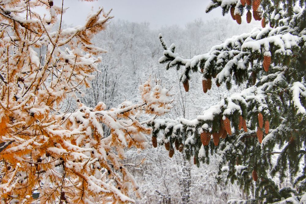 Photograph by Александр Суров