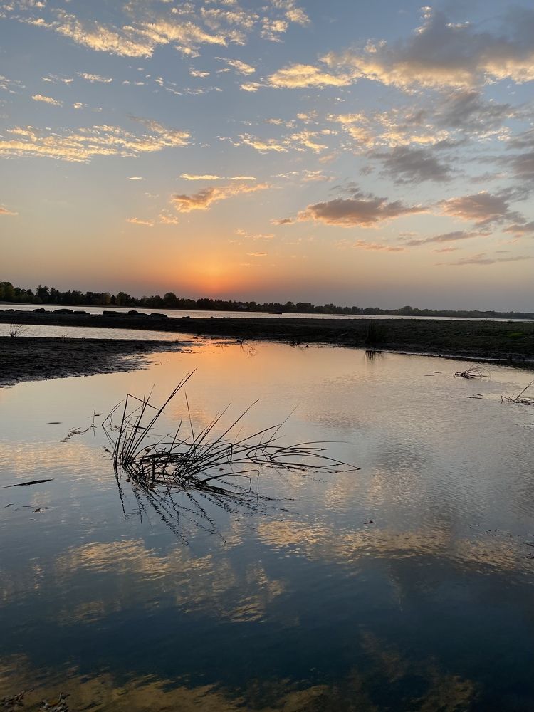 Photograph by Алиса Лукина