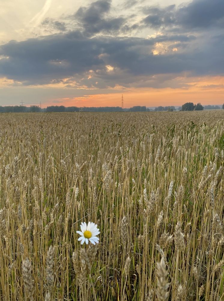 Photograph by Алиса Лукина