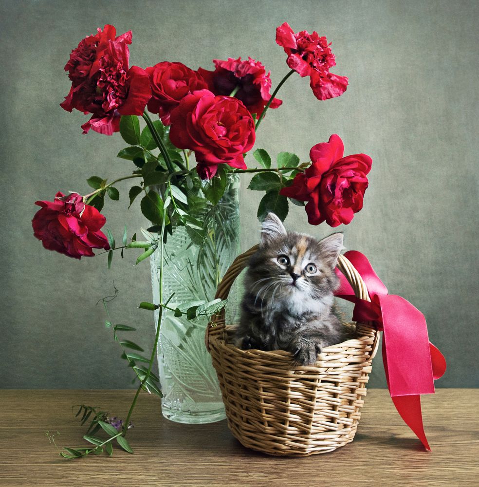 Photograph by Вера Лопатина