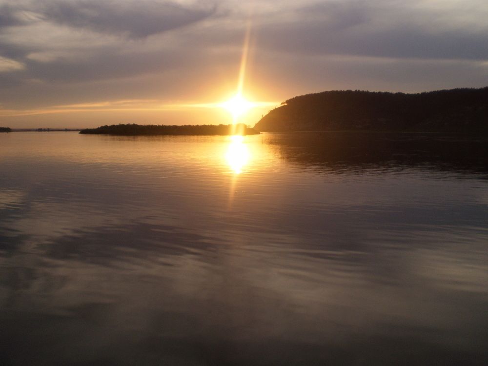 Photo #8734493