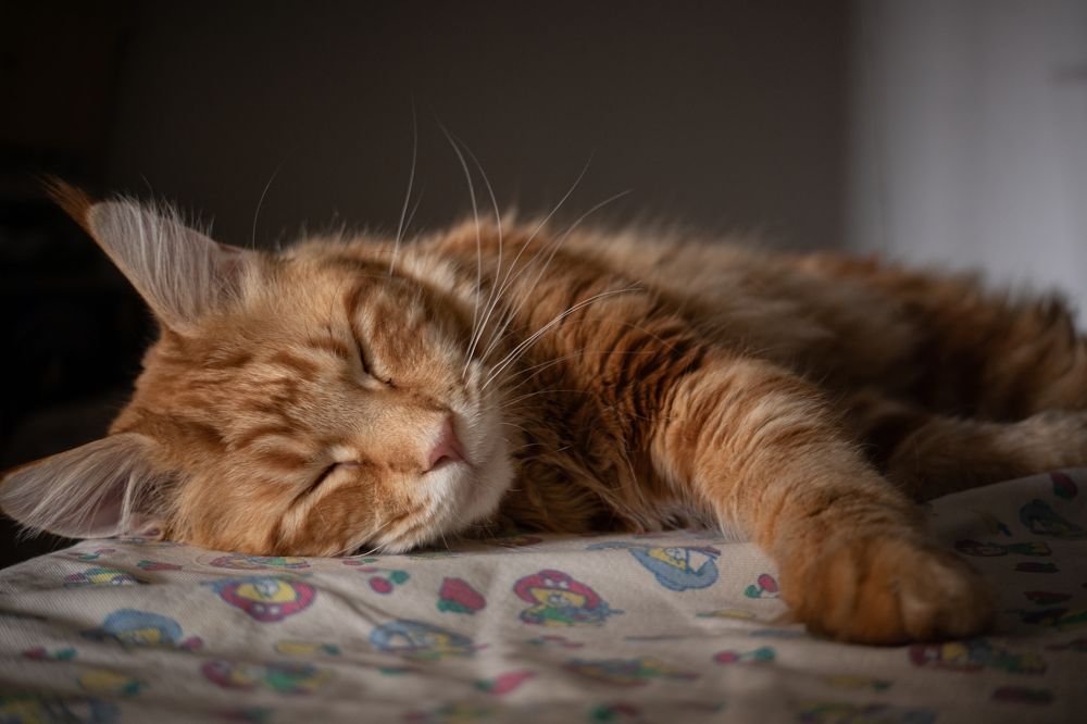 Photograph by Мухаметов Сергей