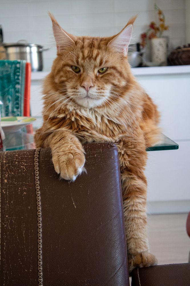 Photograph by Мухаметов Сергей