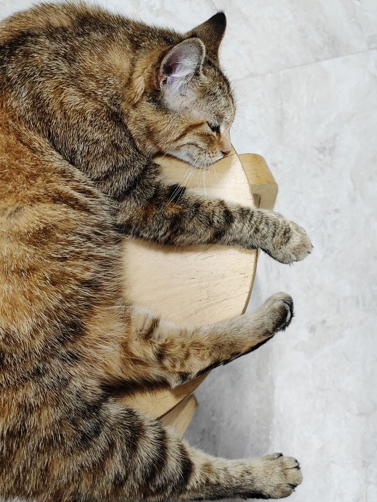 Photograph by Natalya Guseva