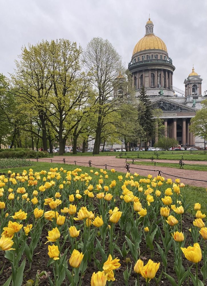 Photograph by Алиса Лукина