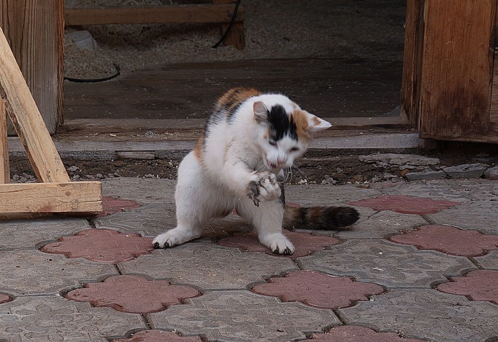 Photograph by Василий Быстрицкий