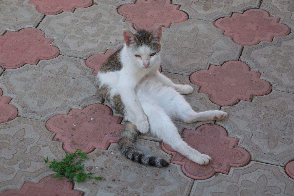 Photograph by Василий Быстрицкий