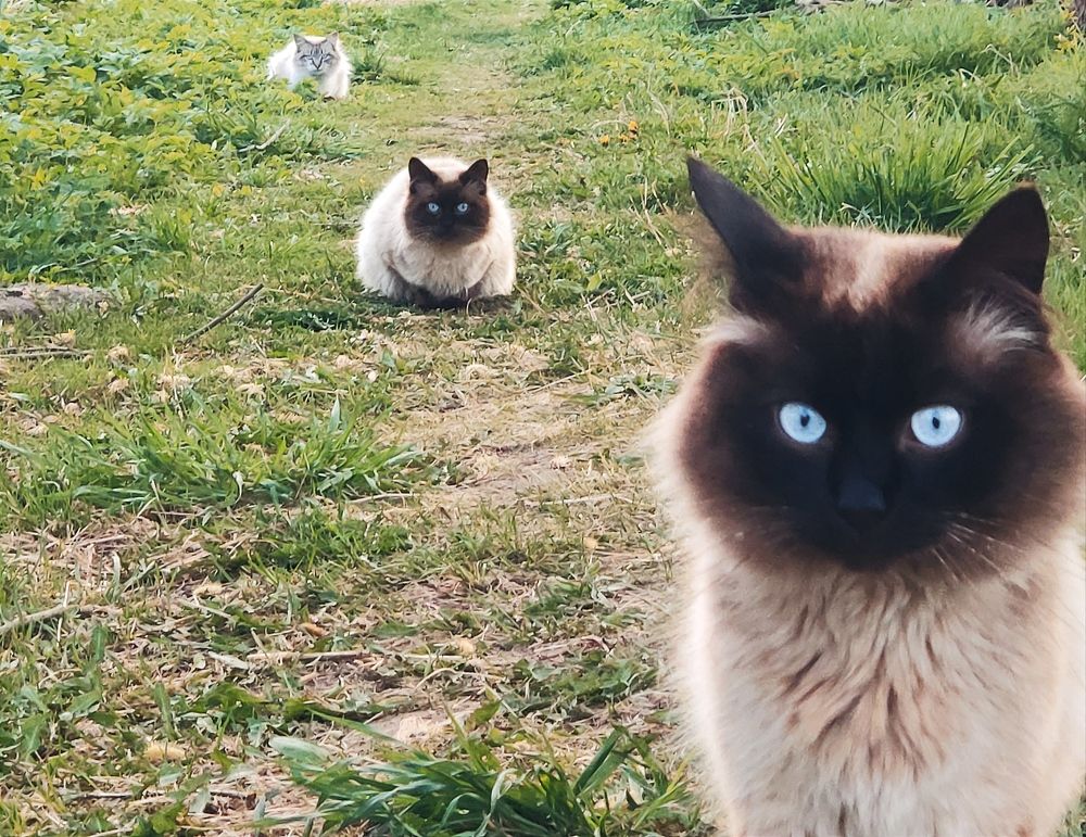 Photograph by Zoia Ishanova