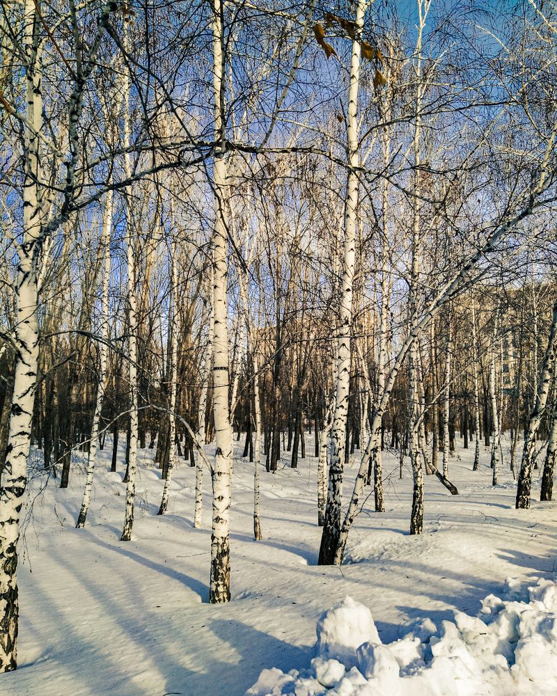 Photograph by Kanat Amre